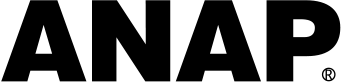 ANAP_HOLDINGS_INC.
