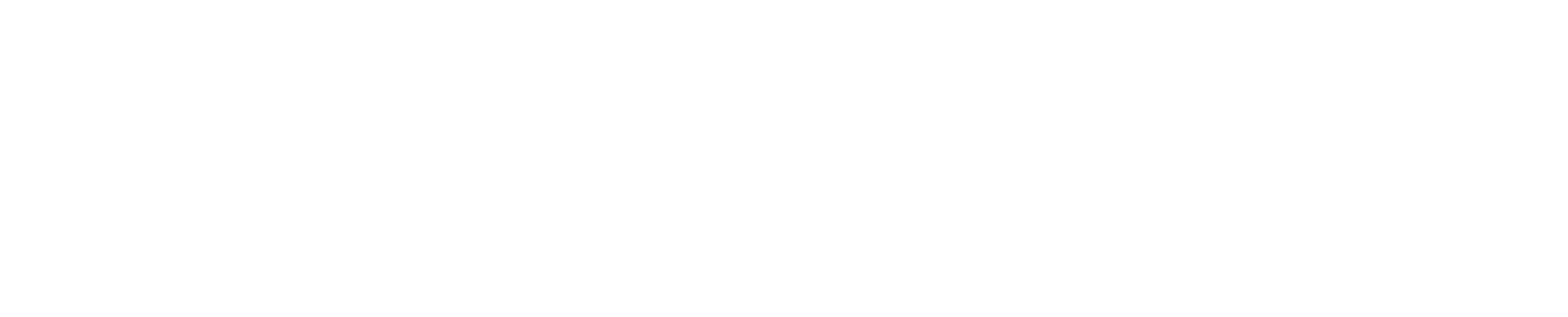 WIZE_Inc.