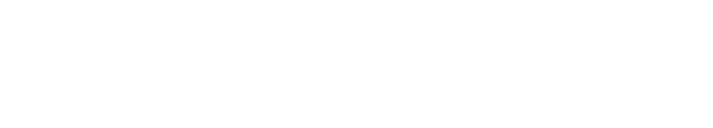VALUENEX_Japan_Inc.