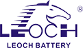 Leoch International Technology Limited